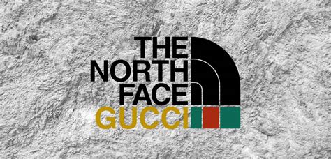 gucci north face wallpaper|north face gucci full collection.